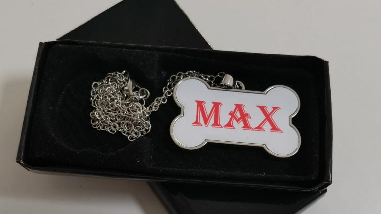 medalion personalizat pentru catei