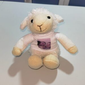 oita din plus personalizata